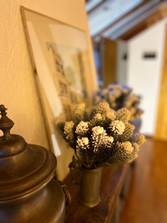 Chalet Blanc "La Mansarda" Courmayeur Zewnętrze zdjęcie