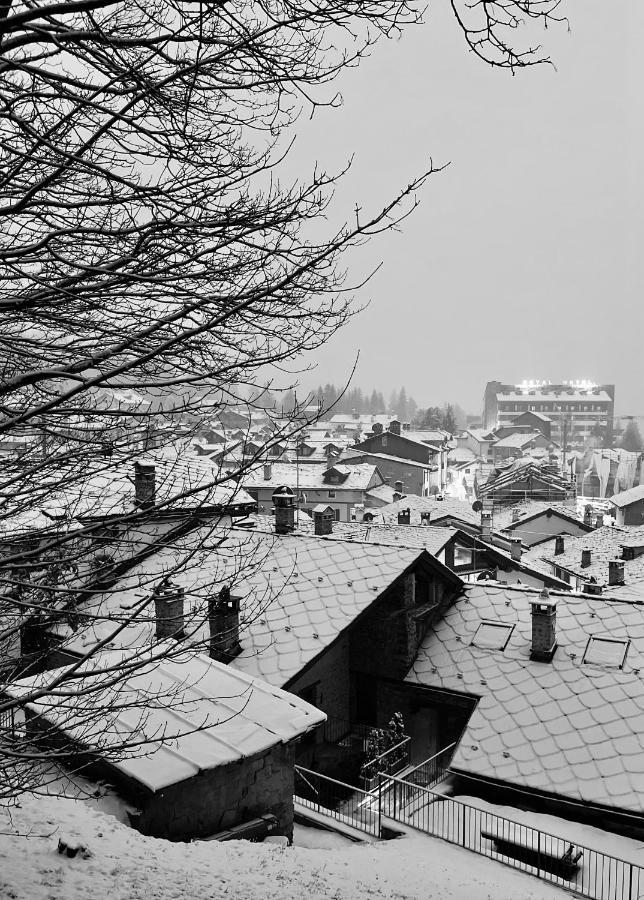 Chalet Blanc "La Mansarda" Courmayeur Zewnętrze zdjęcie