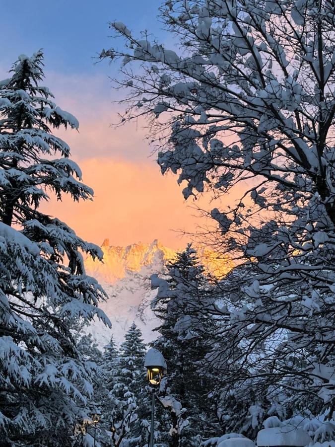 Chalet Blanc "La Mansarda" Courmayeur Zewnętrze zdjęcie